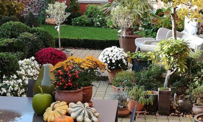 Adamas B&B Dendermonde Bagian luar foto